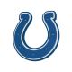 Indianapolis Colts 3D Hand Foam and Wall Sign
