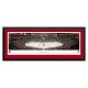 Arizona Coyotes - Framed Arena Panoramic Picture