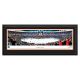 Anaheim Ducks - Framed Arena Panoramic Picture