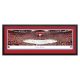 Florida Panthers - Framed Arena Panoramic Picture
