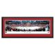 Detroit Red Wings - Framed Arena Panoramic Picture