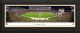 Pittsburgh Steelers Framed Panoramic
